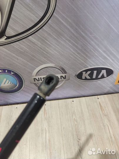 Амортизатор стойка багажника Nissan primera P12 Ле