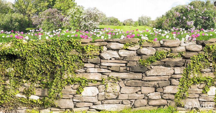 Премиум фотообои на заказ