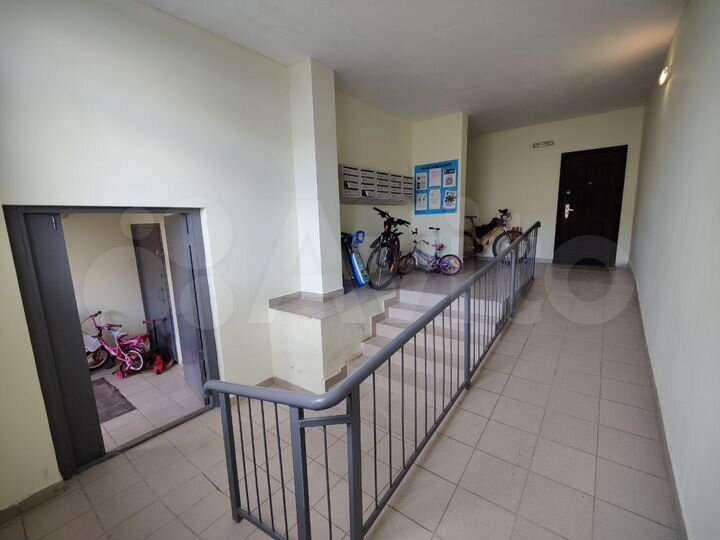 3-к. квартира, 81,8 м², 1/5 эт.