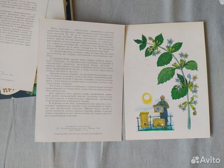 Набор открыток