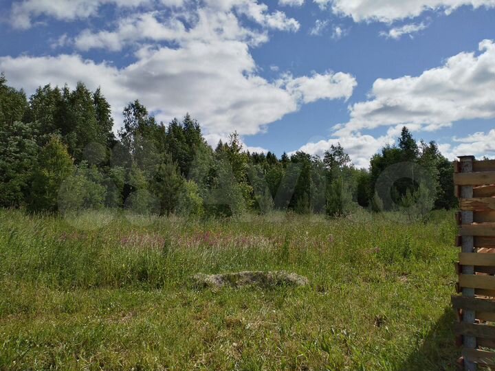 Участок 3,76 га (СНТ, ДНП)