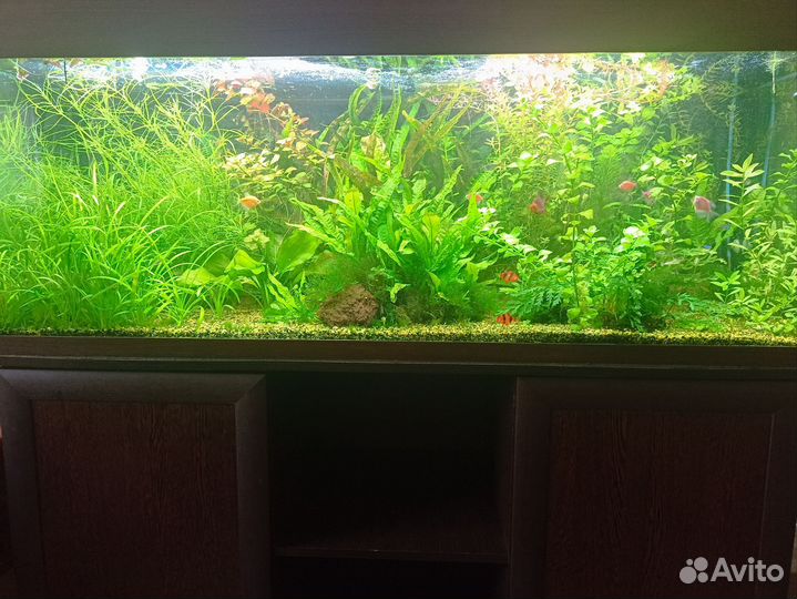 Украшение для аквариума