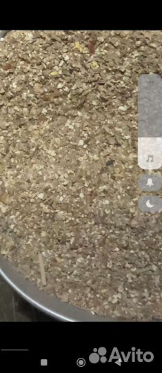 Зерноотход кукурузы