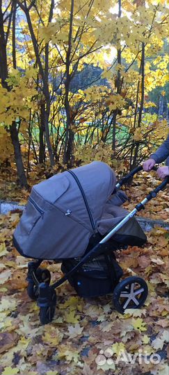 Коляска baby design hasky