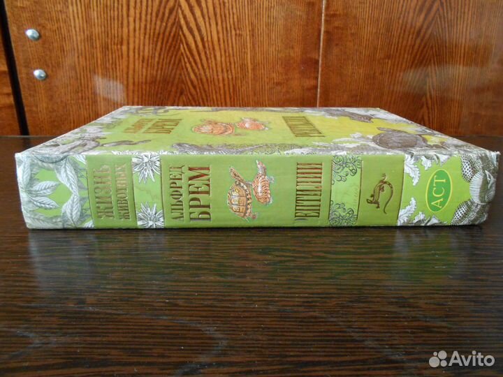 Альфред Брем 