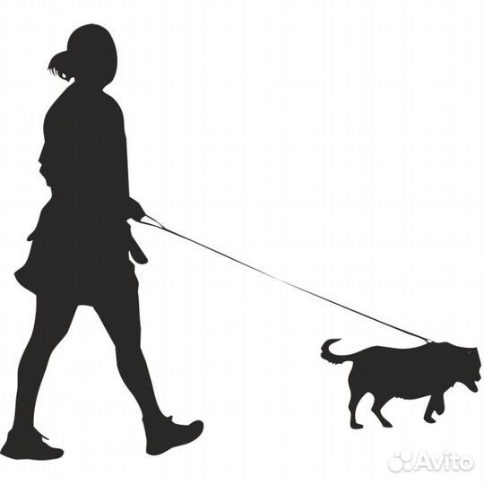 Выгул собак