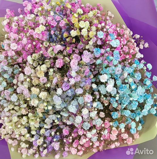 Букет Цветы Гипсофила Радужная / Доставка Цветов