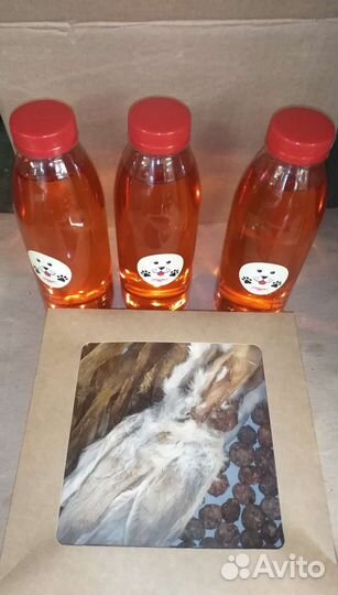 Корма для собак и кошек