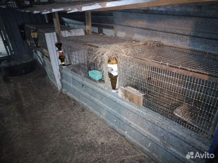 Клетка для кролика