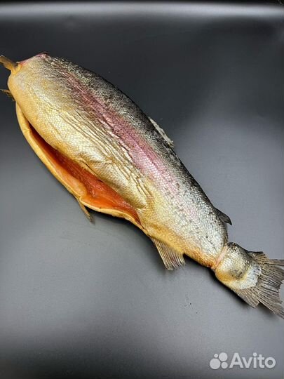 Форель х/к 1.8-2.7 на опилках (Мурманск)