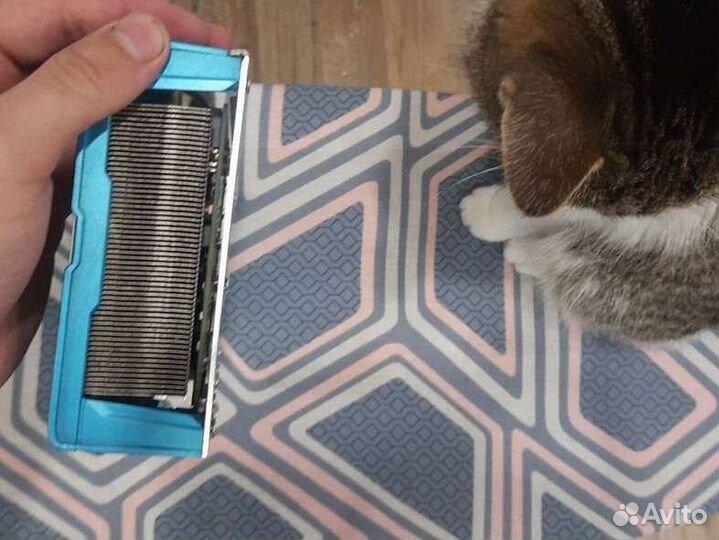 RX 590 Sapphire SE nitro + 8 gb