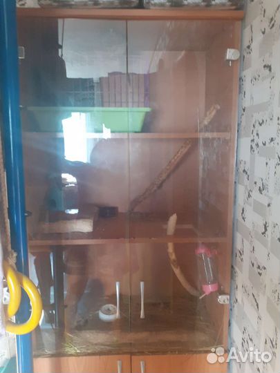 Витрина для грызунов