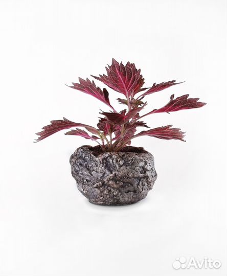 Цветочный горшочек 