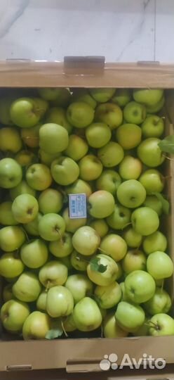 Яблоки оптом