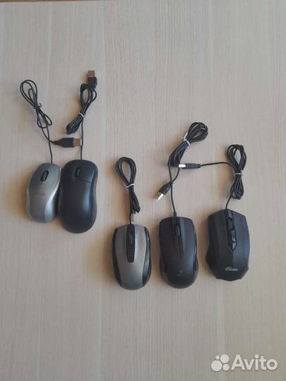 Комп мышь-проверка