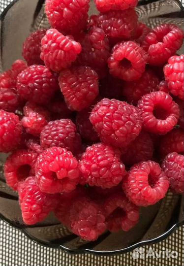 Малина свежая, яблочки триумф,пастила