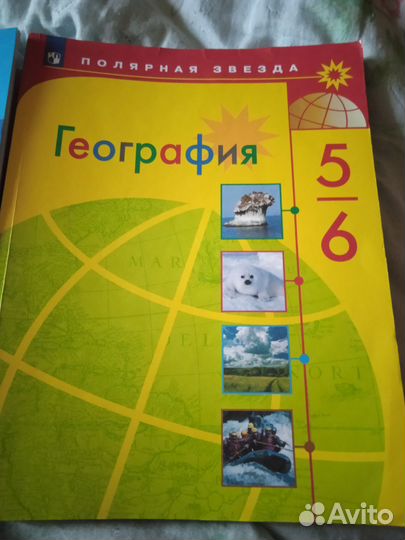 Рабочая тетрадь 6 класс