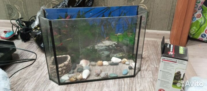 Аквариум