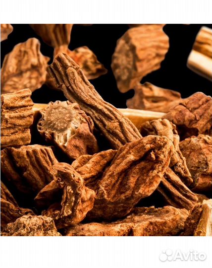 Yodeyma Парфюмерная женская вода tendenze