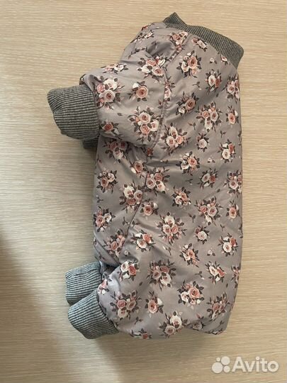 Комбинезоны для собак