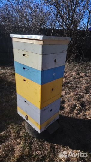 Ульи для пчел бу