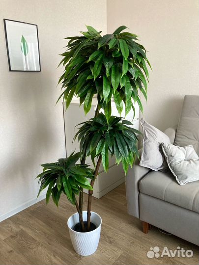 Искусственные цветы и деревья фикус манго