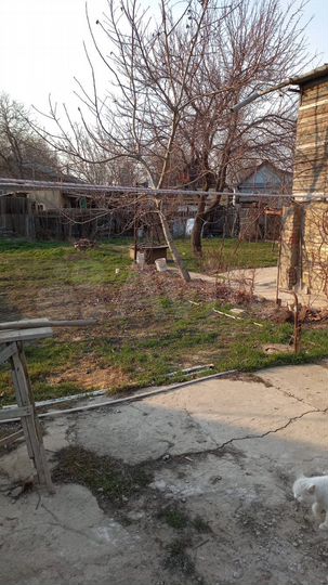 Дом 100,6 м² на участке 6,8 сот.