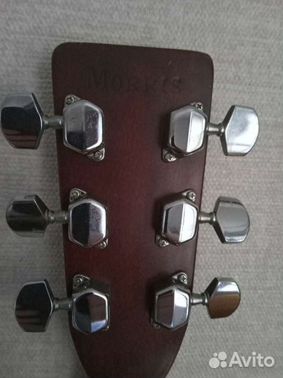 Акустическая гитара Morris W 20