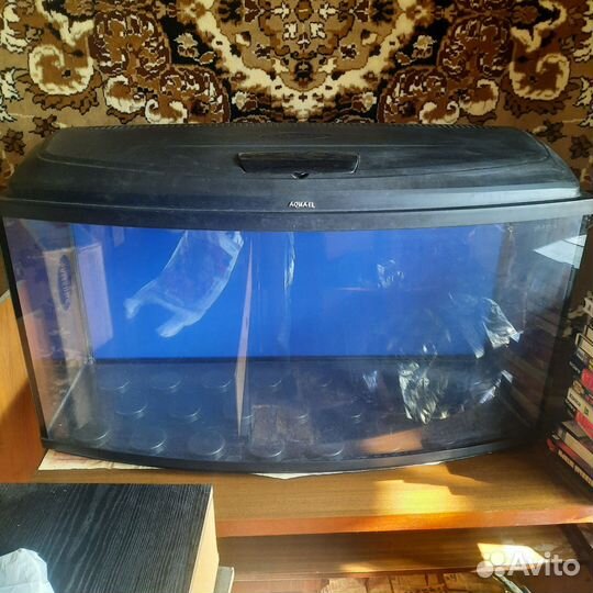 Аквариум