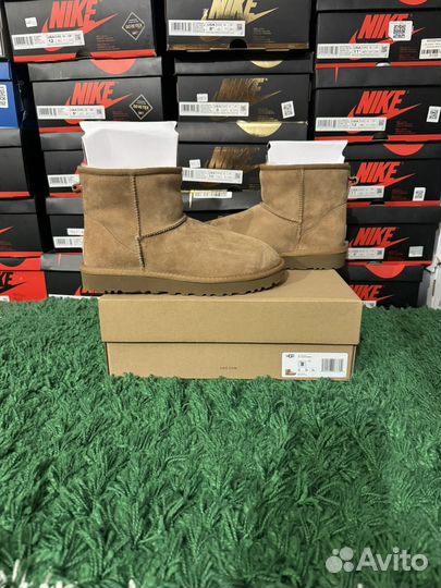 7 размеров UGG Classic Mini II Boot wmns Chestnut