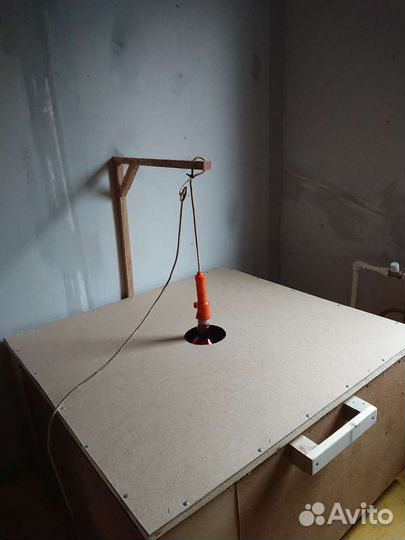 Брудер для цыплят