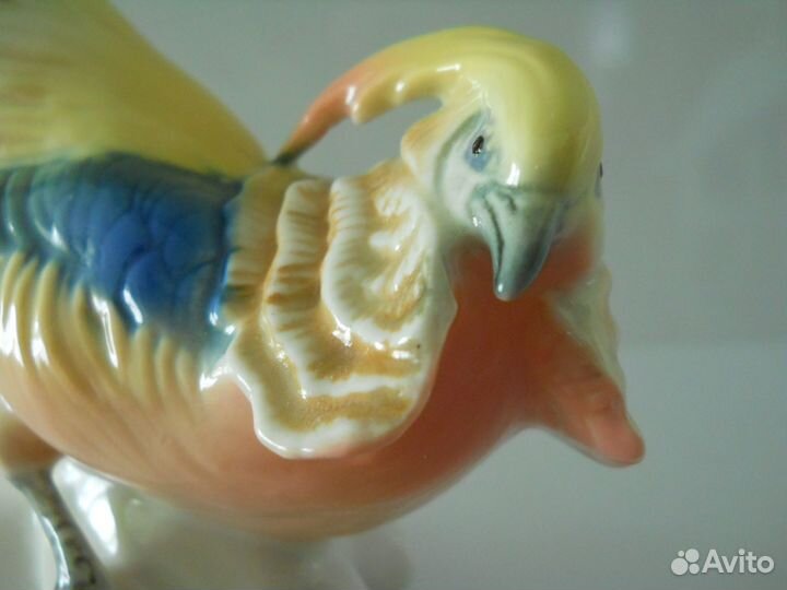 Karl Ens фарфоровый фазан (Германия)