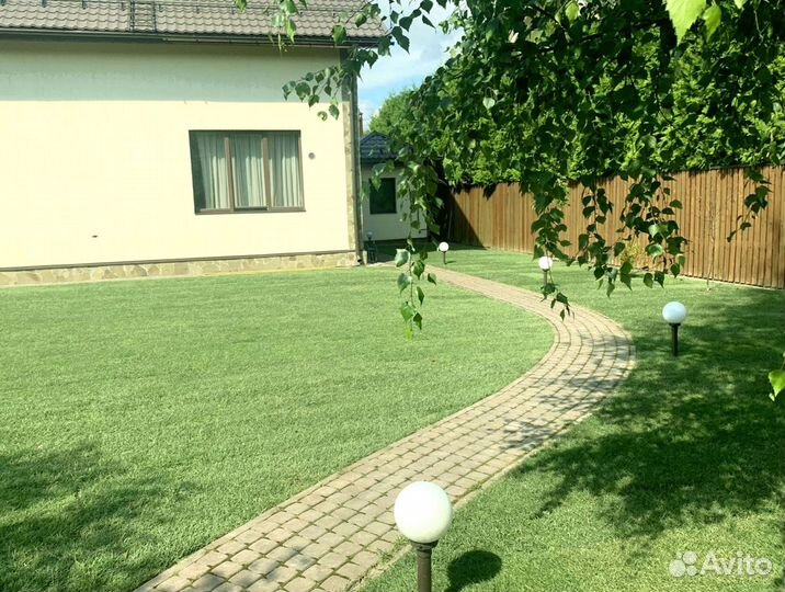 Рулонный газон