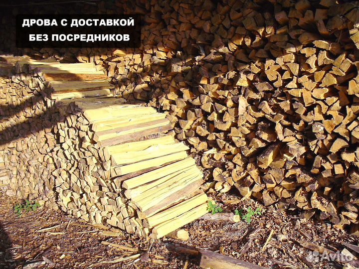 Дрова березовые