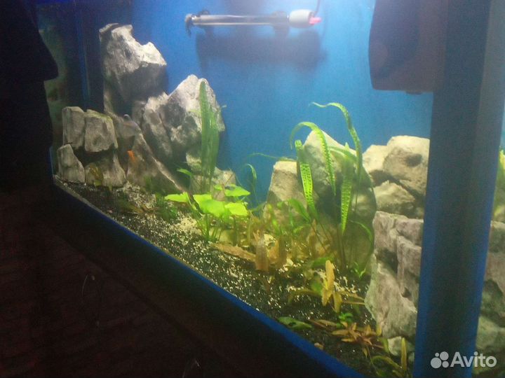 Декорации в аквариум