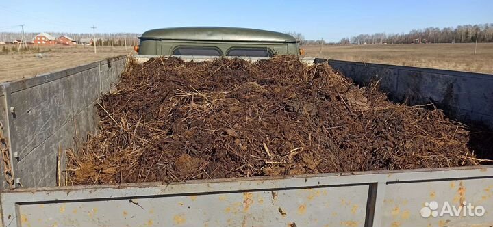 Продам навоз