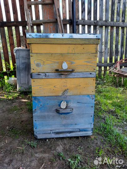 Пчело семья Улья Дадан 12 рамочные б/у в наличии