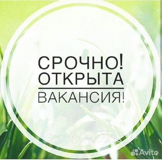 Сотрудник магазина Лента