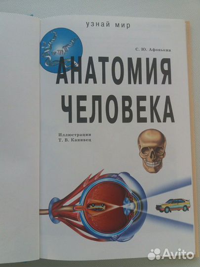 Анатомия человека