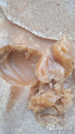 Мёд костромской разнотравье. Урожай 2023 года