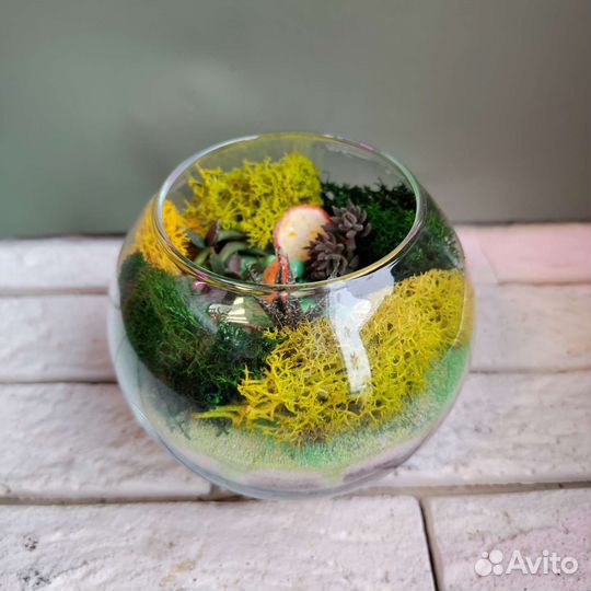 Флорариум 