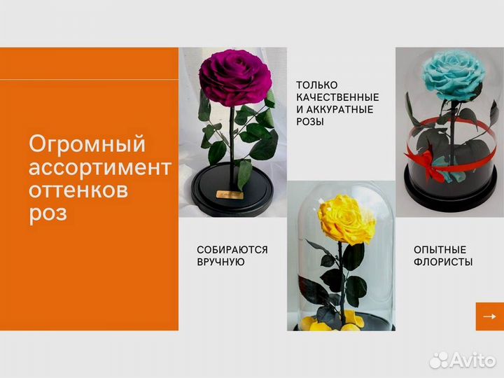 Розы в колбе на выбор