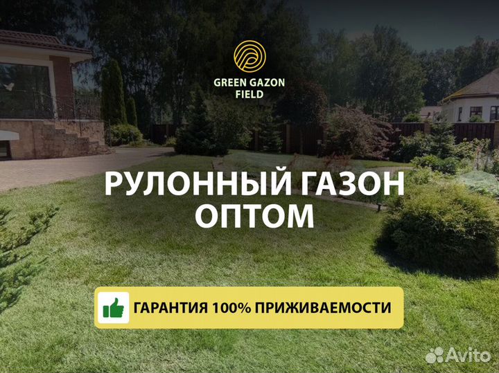 Полевой рулонный газон 