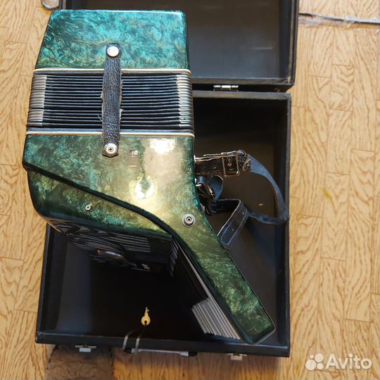 Аккордеон юность3