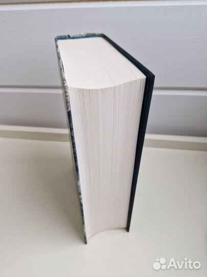 Виктор Ремизов 