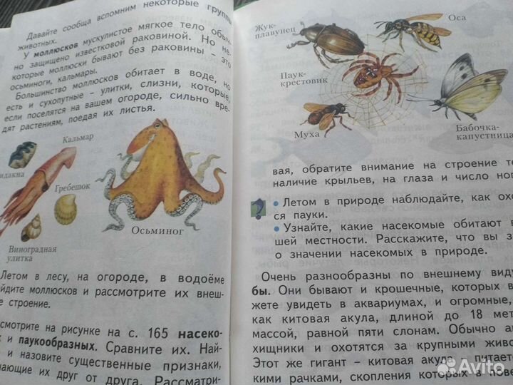 Окружающий мир 2 класс Дмитриева Казаков