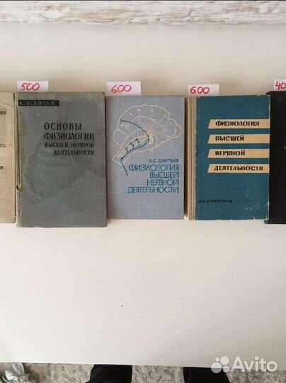 Физиология нервной деятельности