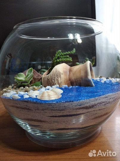 Флорариумы