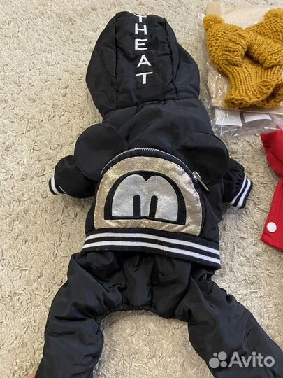 Комбинезоны на Чихуахуа