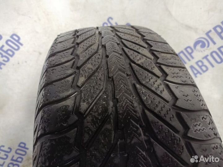 Fate Antartika AR-270 195/60 R15 88T